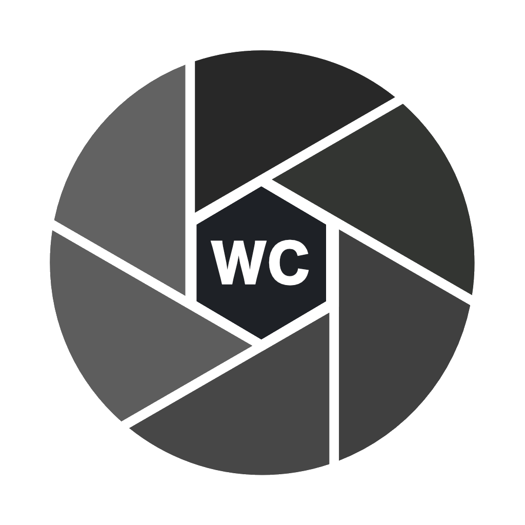 WorkCam icon